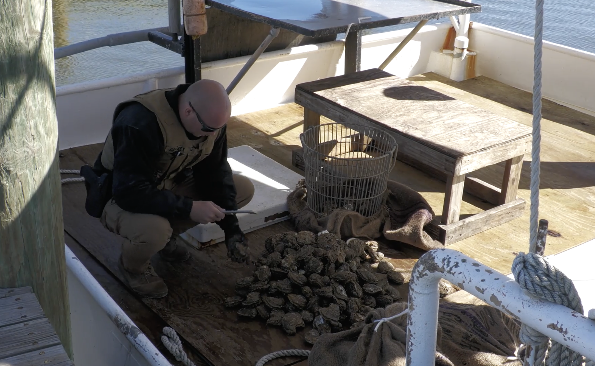 Image accompanying RHCJC News reporting on Mississippi Oyster Leasing