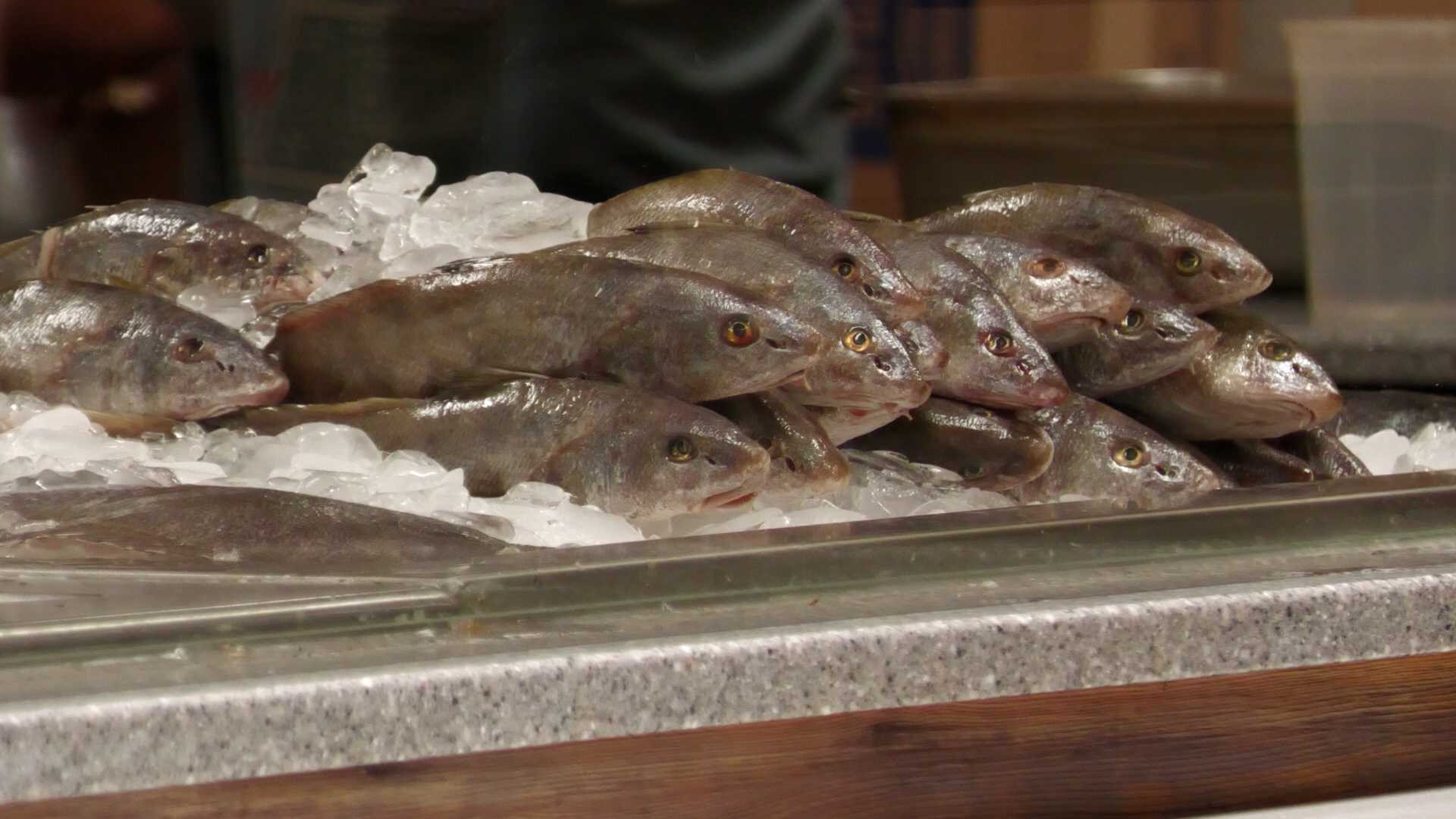 Image accompanying RHCJC News reporting on Mississippi Seafood Labeling